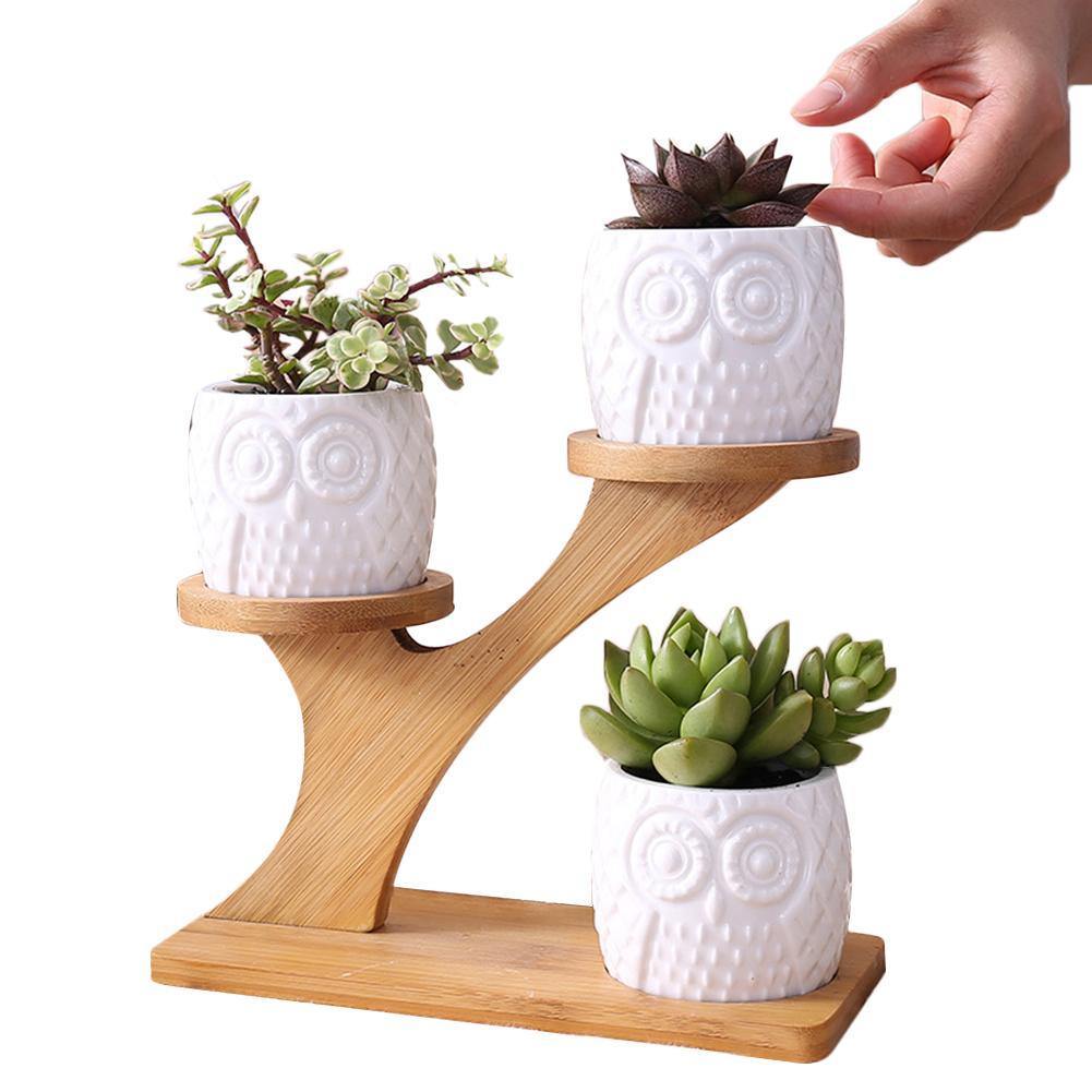 Tiered Ceramic Owl Succulent Planters with Bamboo Shelf