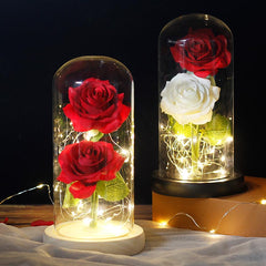 LED Eternal Flower Double Rose