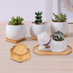 Natural Bamboo Planter Saucer Trays